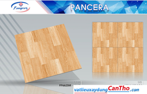 Pancera PP 6625